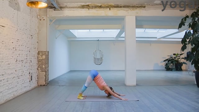 Ashtanga Primary Series