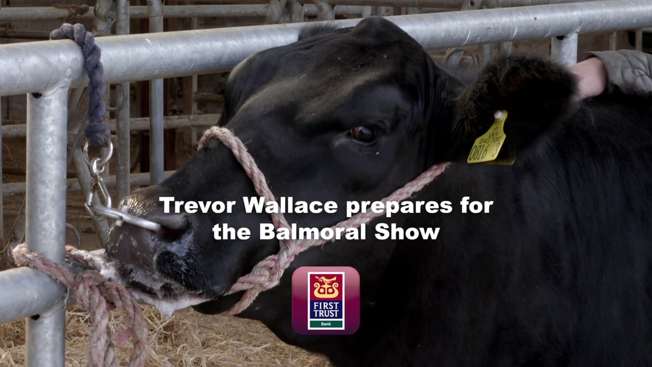 First Trust | Trevor Wallace Balmoral Show