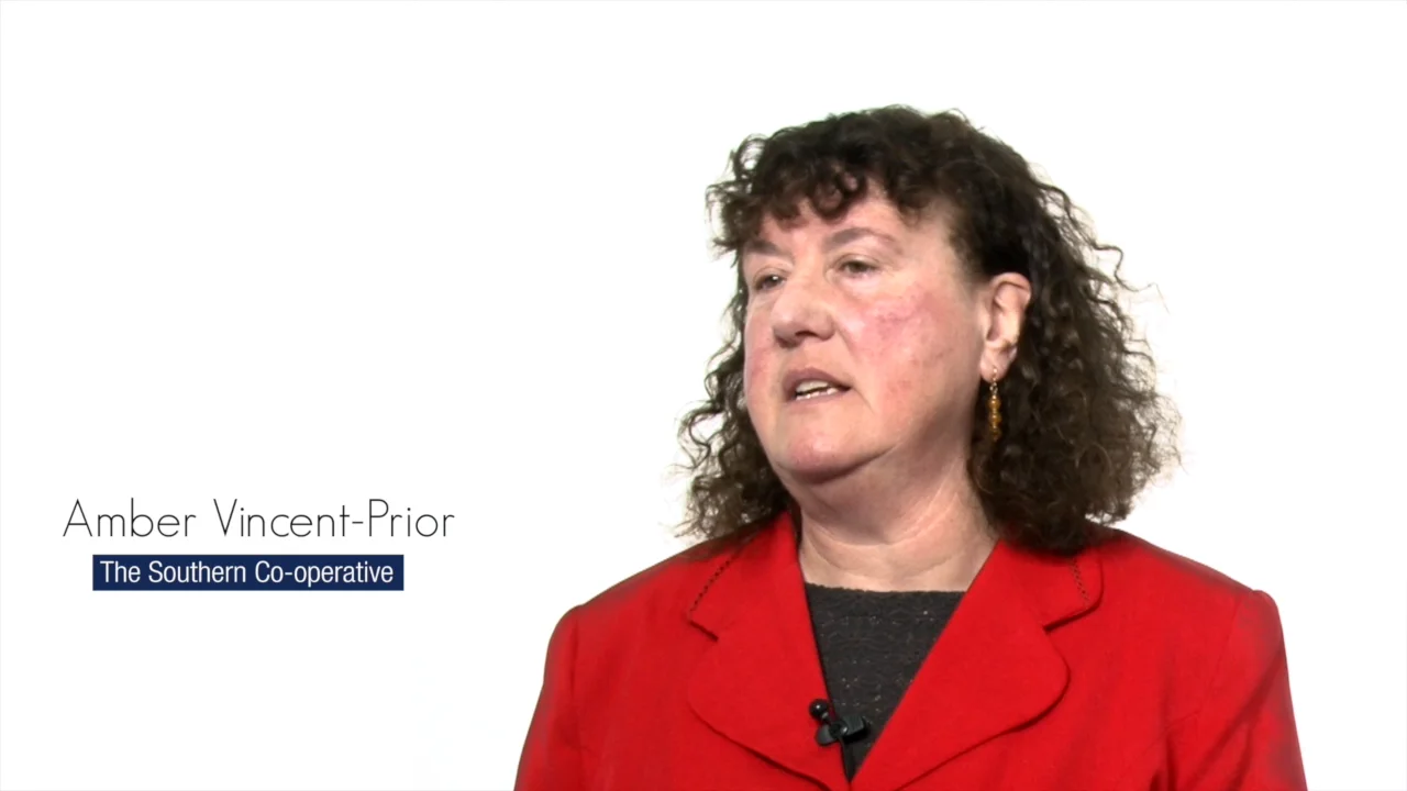 The 2016 Board Director Nominees - Amber Vincent-Prior on Vimeo