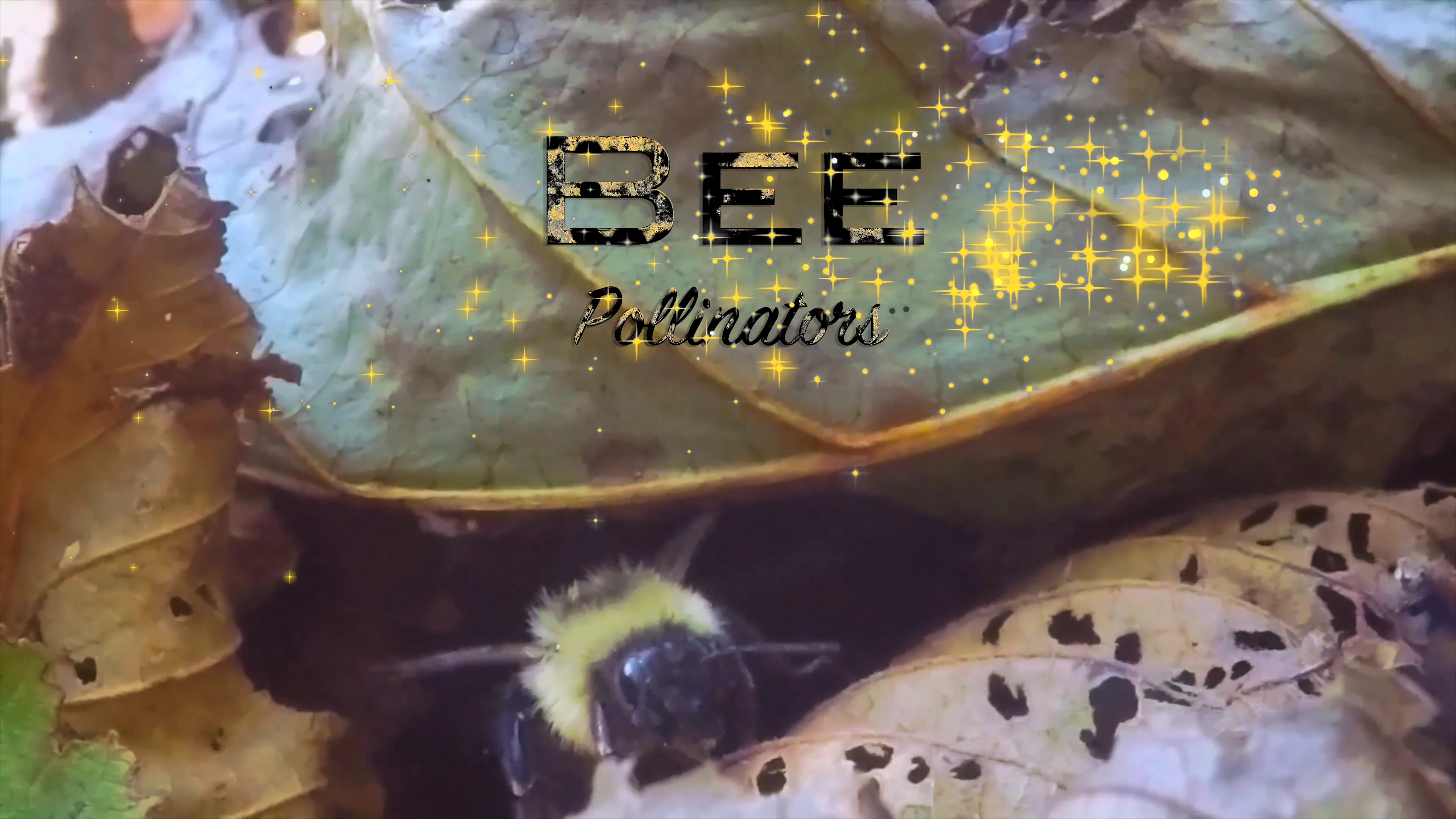 Bee Research on Vimeo