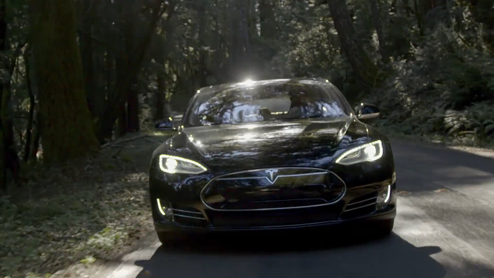TeslaSpot