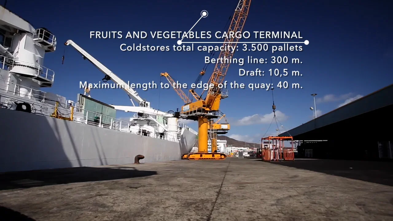 La_Luz_Market_Load_of_Palletized_Tomatoes_And_Vegetables_2016_Final on Vimeo