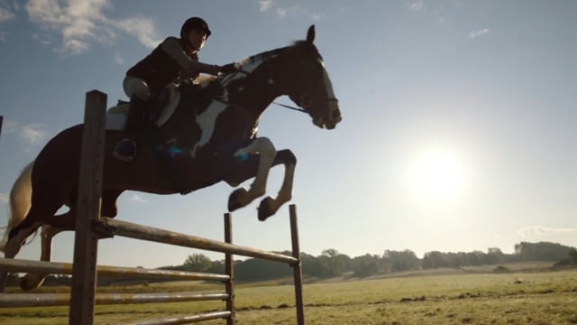 Purina: Hold Your Horses