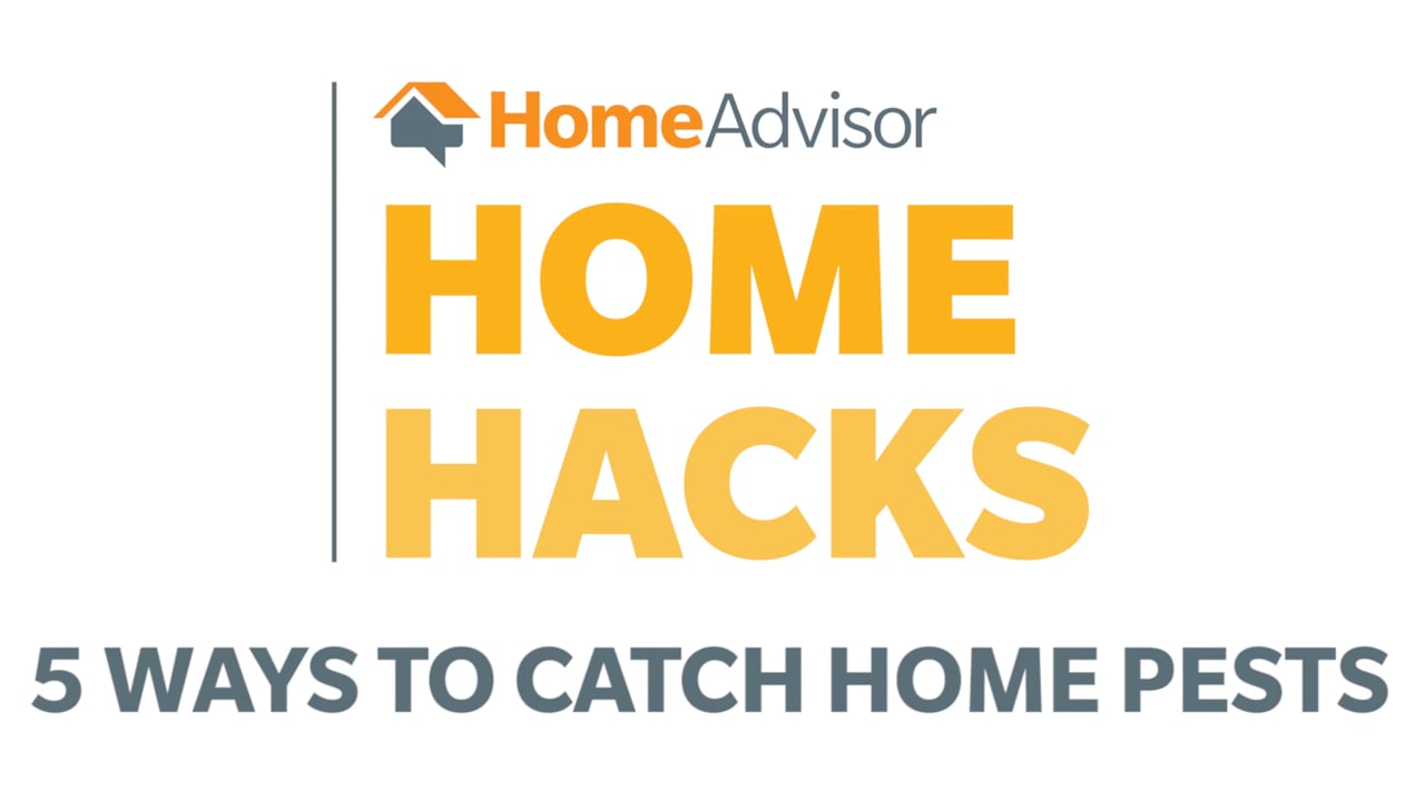 Home Advisor Home Hacks (Editor)