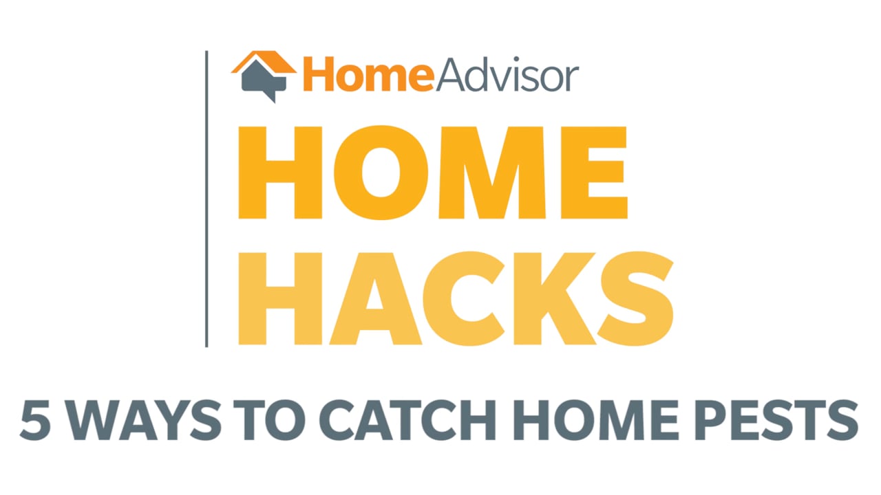 Home Advisor Home Hacks (Editor)
