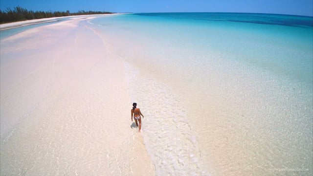 THE BEACH