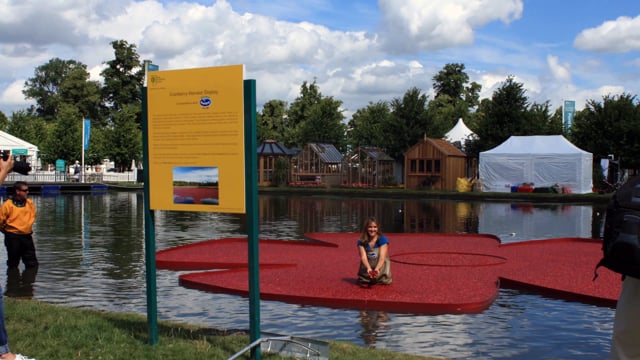 Floating Cranberries at Hampton Court - Short duration time-lapse