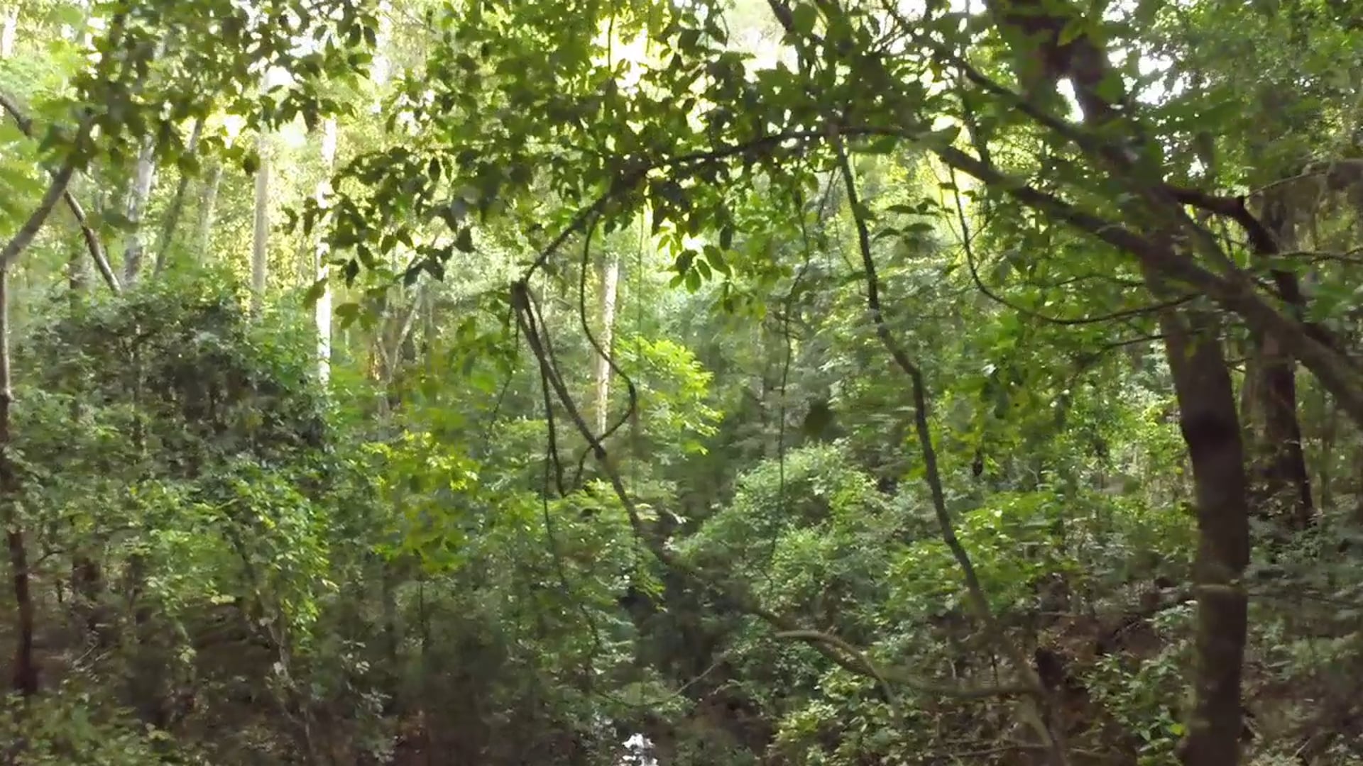 Montes de María, COLOMBIA