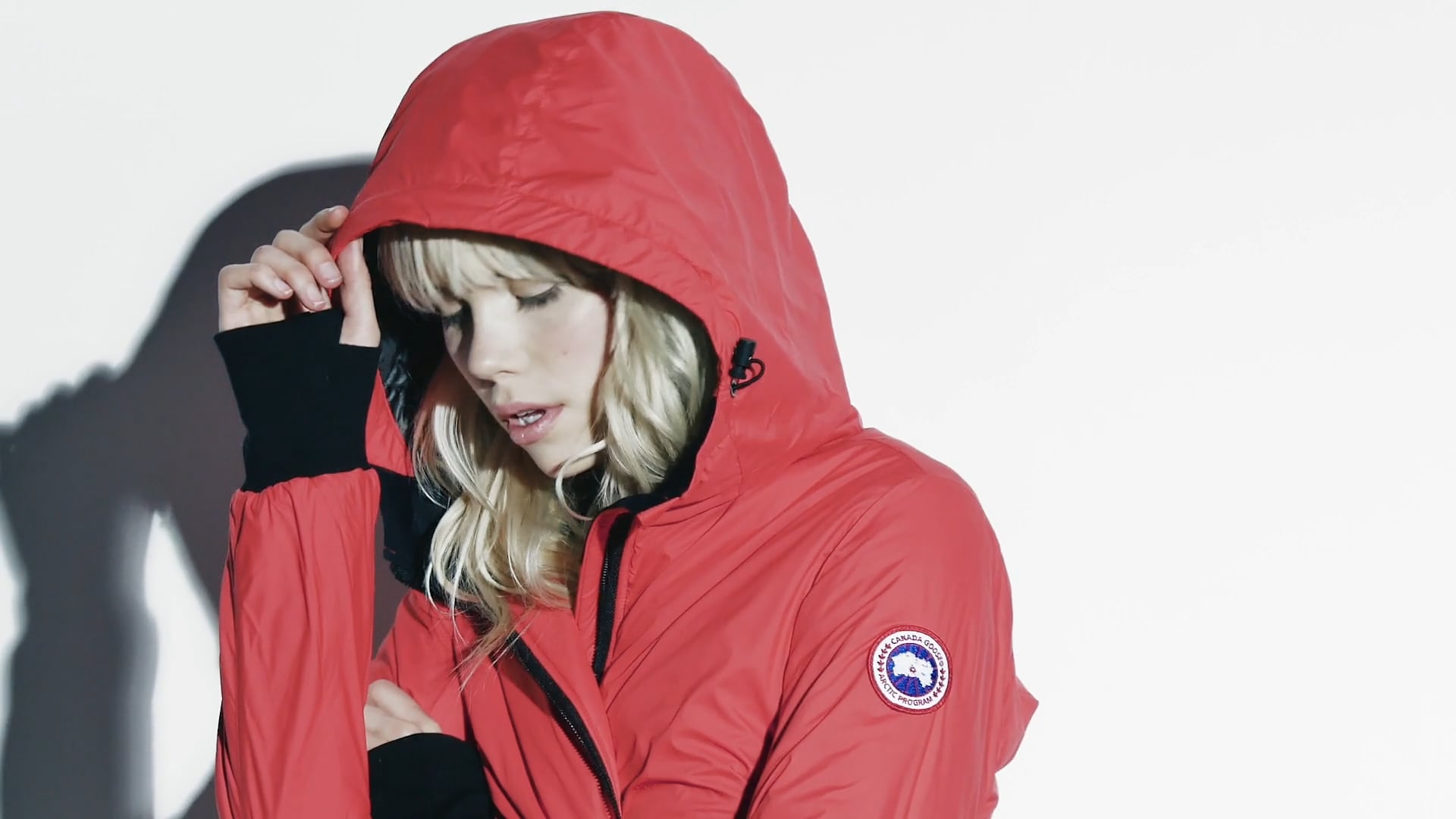 Canada Goose - Spring