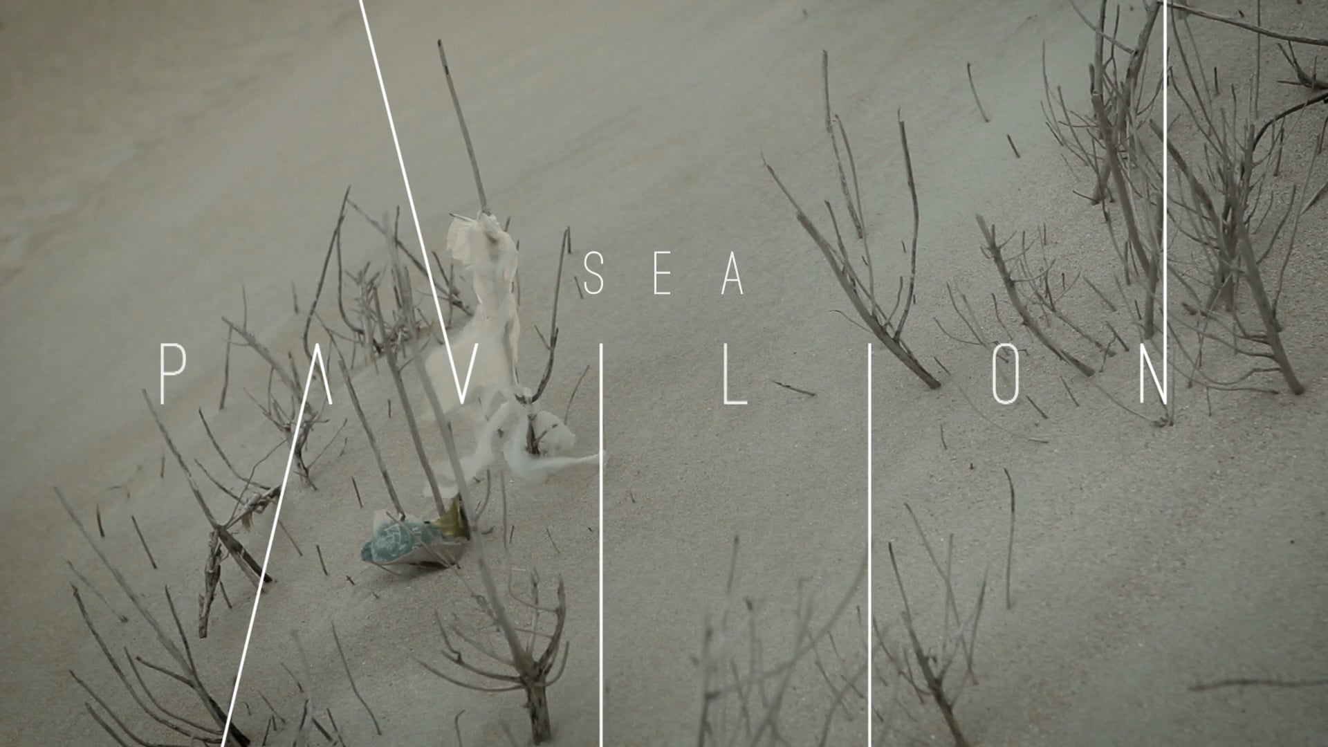 Trailer 2016 Sea Pavillion  ( South Africa )