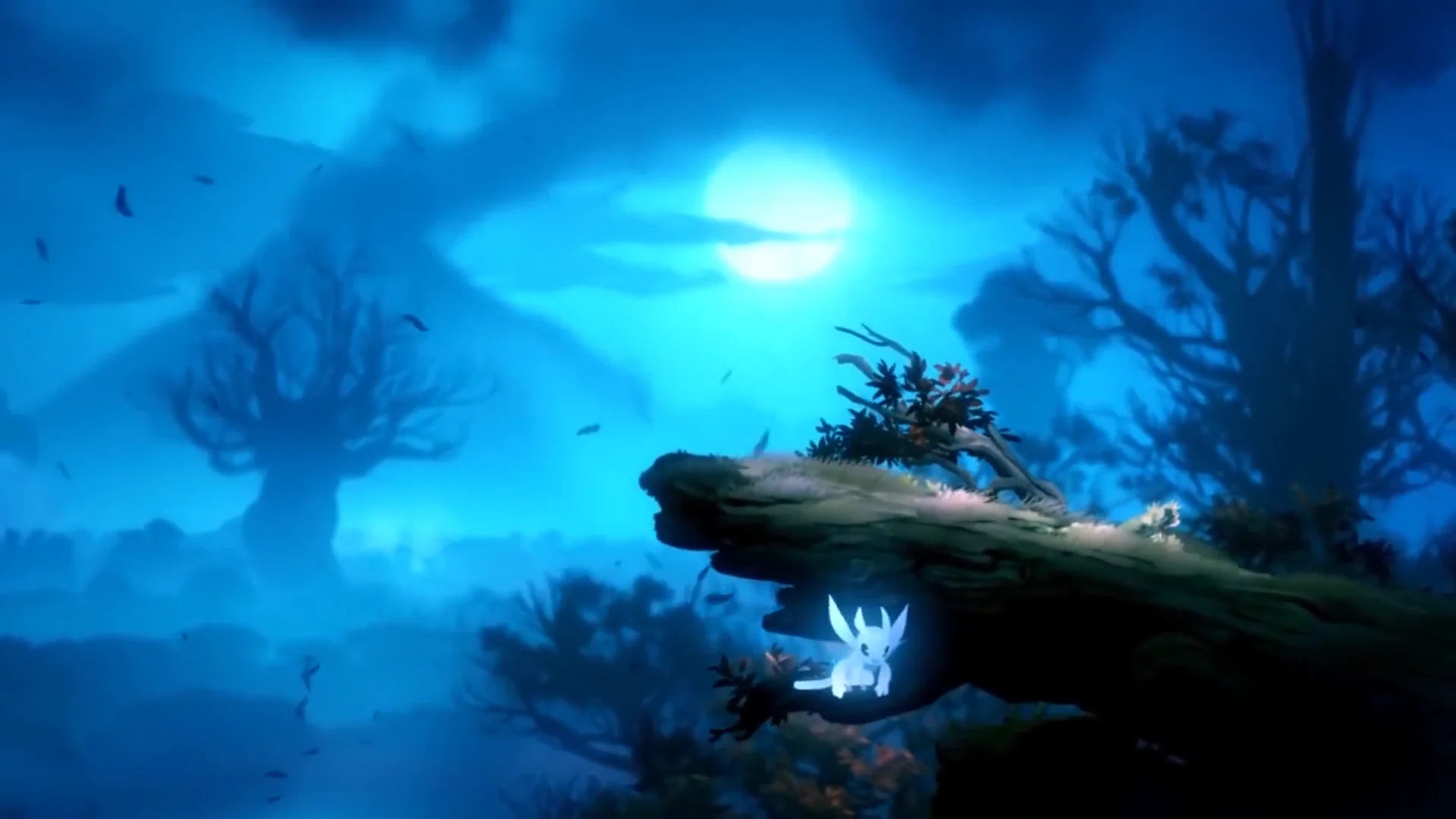 Ori And The Blind Forest: Definitive Edition – PC – Neuf Sous Blister (FR)