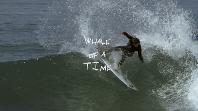 Whale Of A Time from Blake Michel