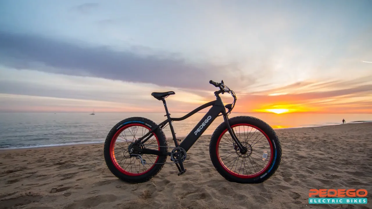 Product Display 2019 Pedego Trail Tracker IV Fat Tire Electric