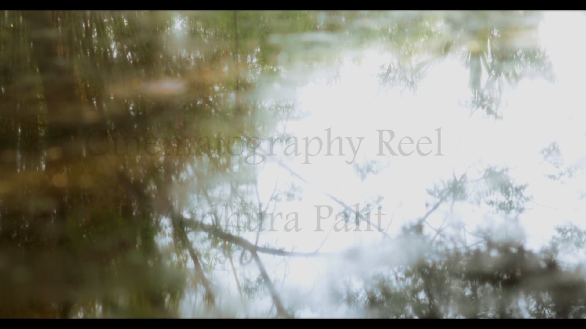 Cinematography Showreel 2015 - Modhura Palit