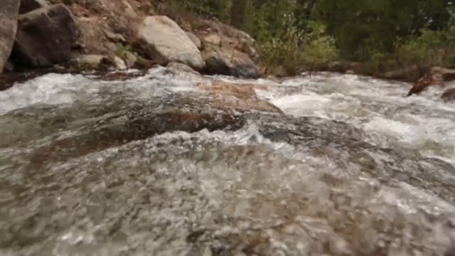Cutthroat: Conserving Colorado’s Trout