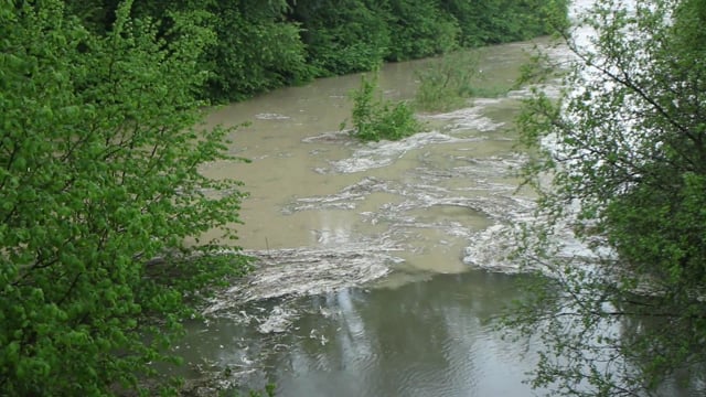 Hochwasser Thur am 13.5.16