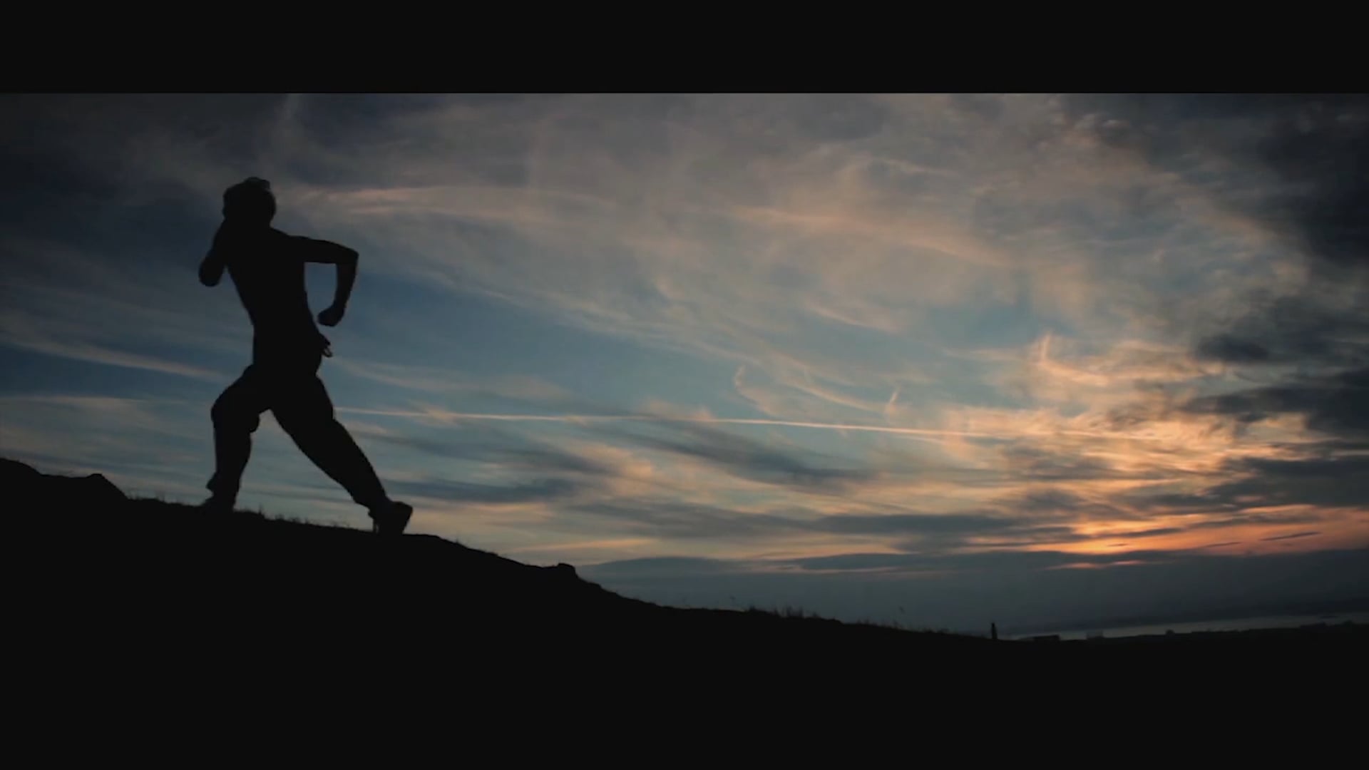 The Street Fighter (Short) 2012