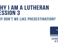 Why don’t we like predestination?