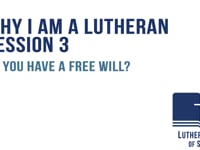 Do you have a free will?