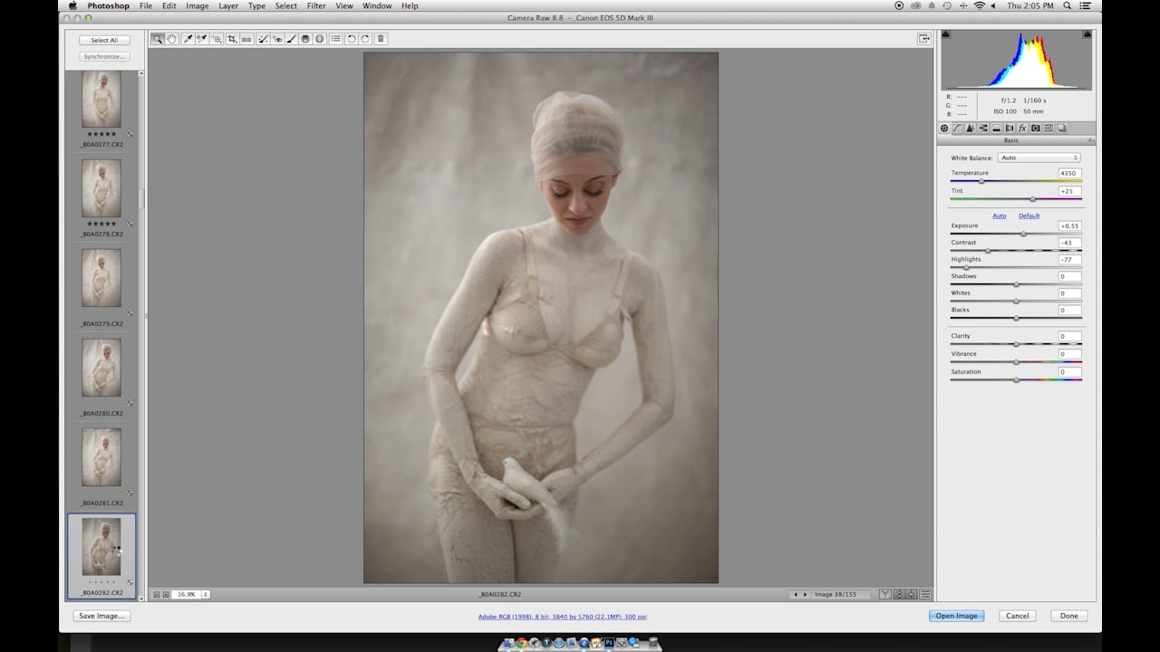 Selection - How to Body Paint (Courses) - The Portrait System