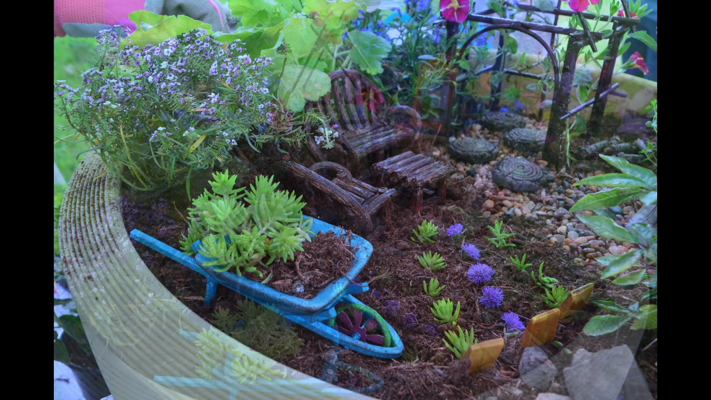 Growing Up Crescent | Videos & Movies on Vimeo