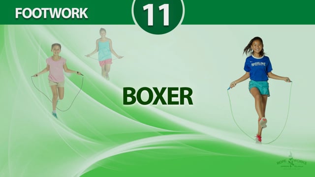 Boxer