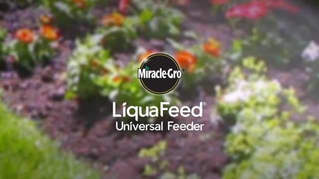 Scotts Miracle-Gro - Customer Success Story
