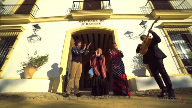 Flamenco Agency — Show privado
