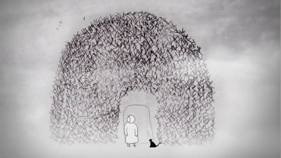 This skin we're in - Award winning animation.