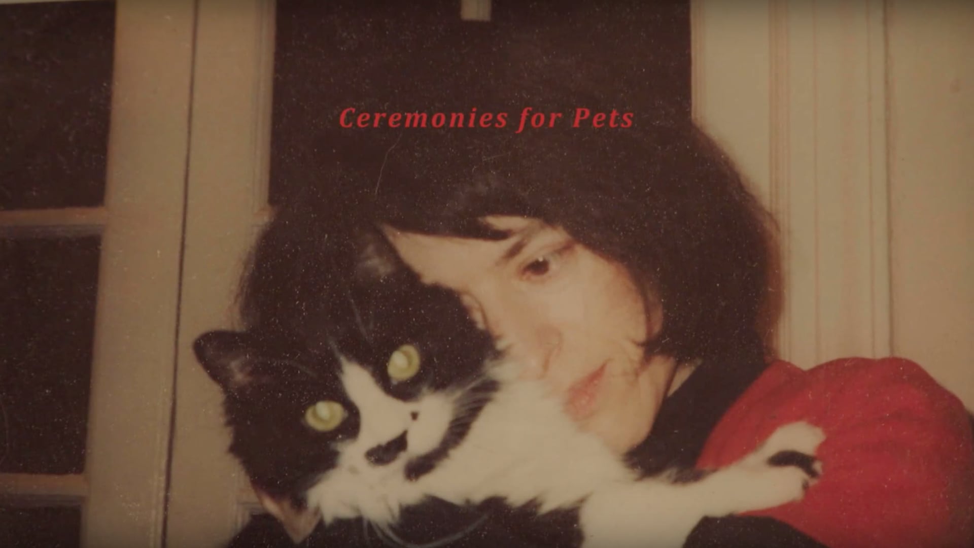 Ceremonies for Pets