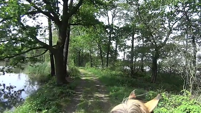 Ritt Bennewitzer Teiche on Vimeo