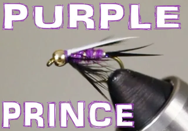 How to tie the Purple & French wet fly (Tip of the hat to the purple &  snipe) 