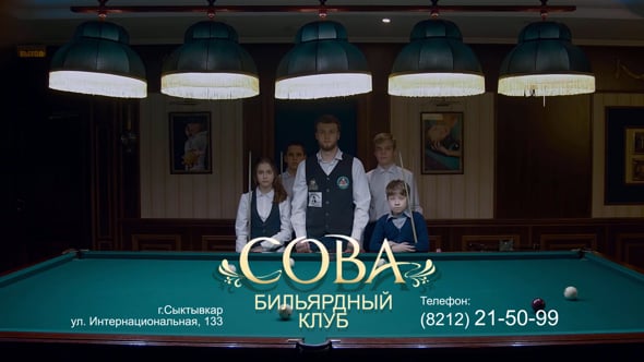 Сова бильярд