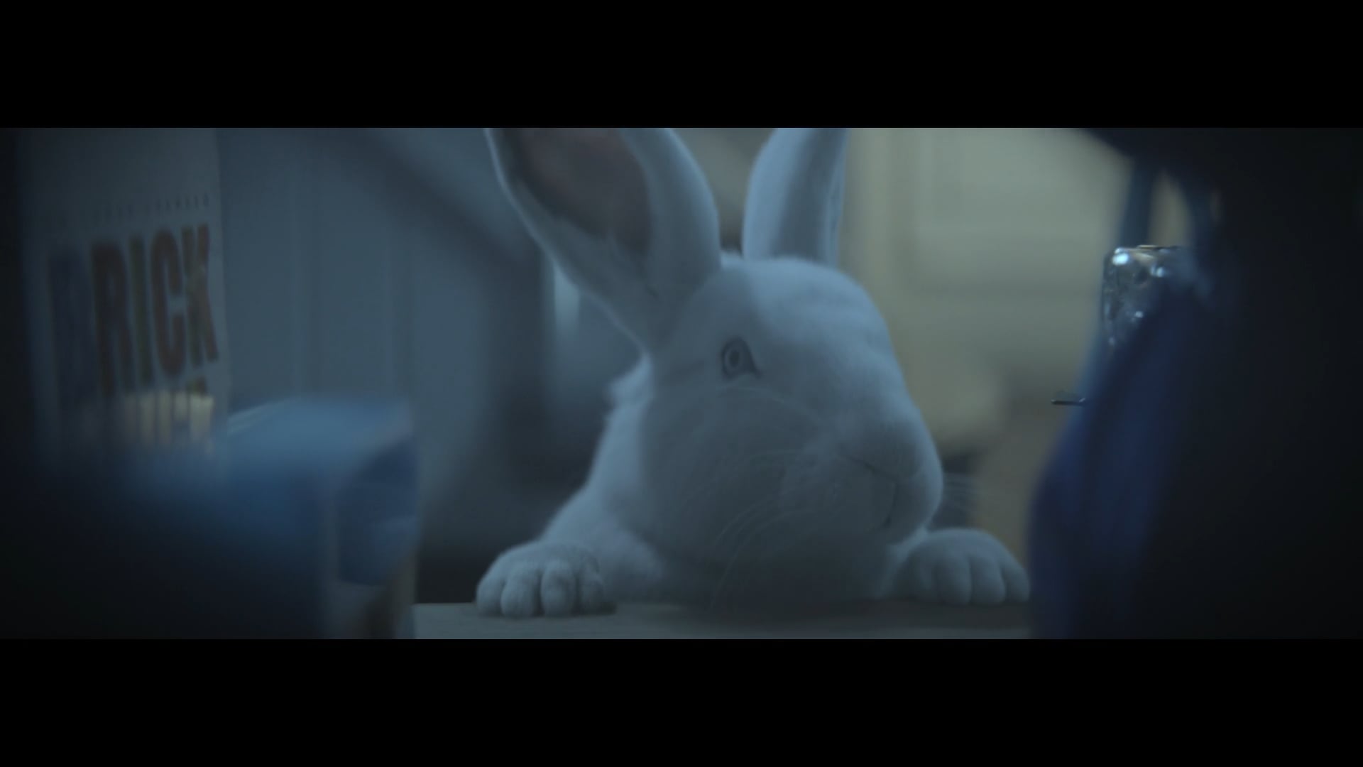 LACTA | RABBIT | Videos & Movies on Vimeo