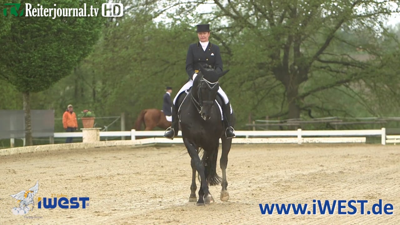 iWEST Dressur Cup Station Aulendorf 2016 - www.iWEST.de