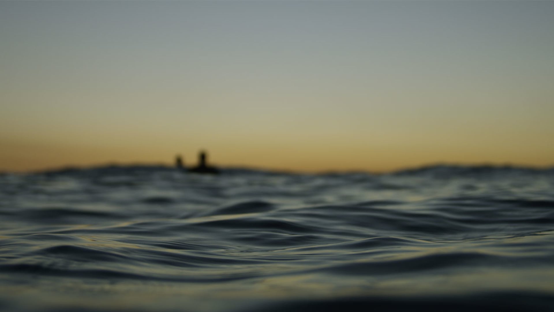 REELS