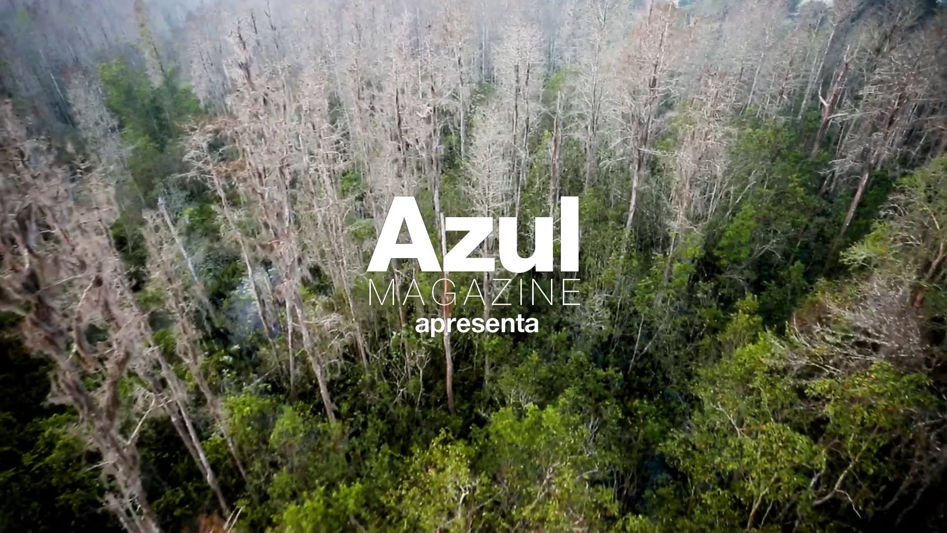 Orlando (USA) - Azul Magazine