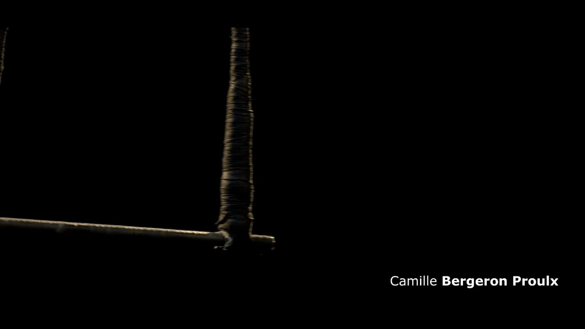 Promotional video thumbnail 3 for Camille BP - Professional Aerialist