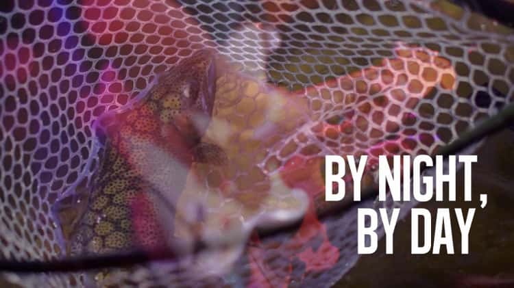 By Night, By Day - a short film of rock and fly fishing on Vimeo