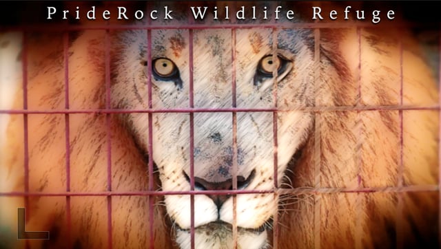 PRIDEROCK WILDLIFE REFUGE