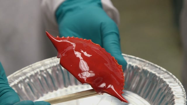 Making and Knowing (Fake) Coral