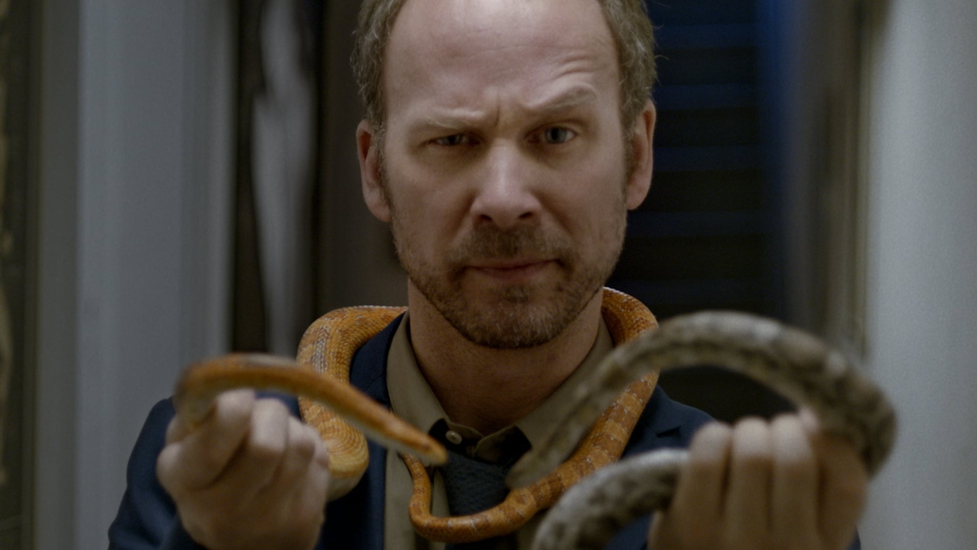 Motts | Venom Snakebomb
