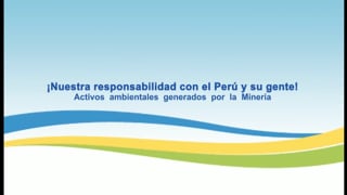 Gestión ambiental del sector minero