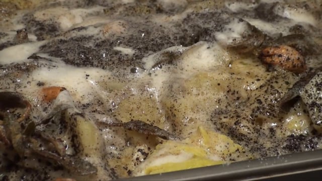 I Pizzoccheri