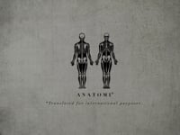 Anatomy