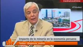 Entrevista a Carlos Gálvez en Andina Online