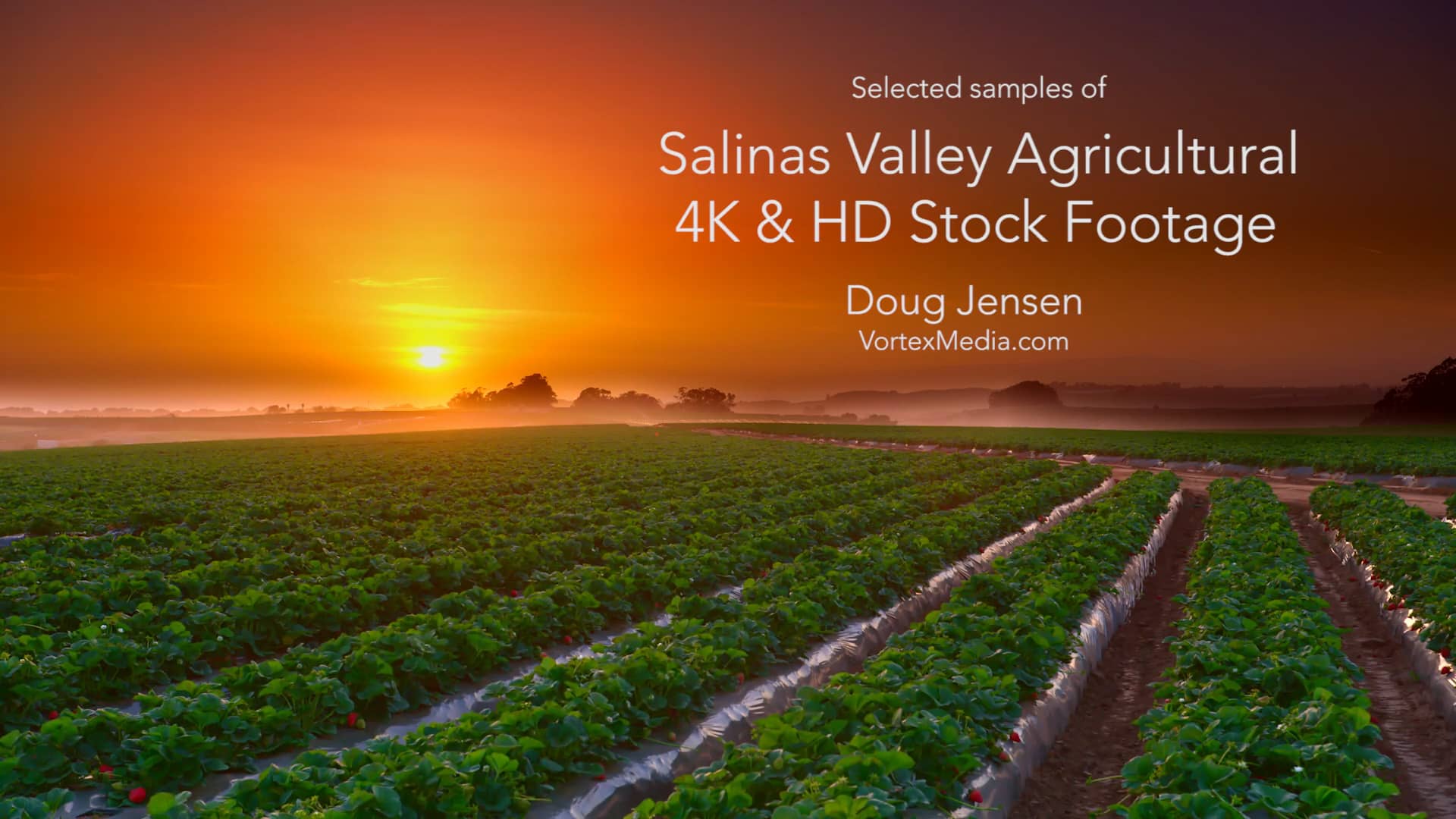 Salinas Valley Agricultural 4K Stock Footage on Vimeo