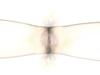 Sometimes I want to be a flower, sometimes I want to be a cactus.