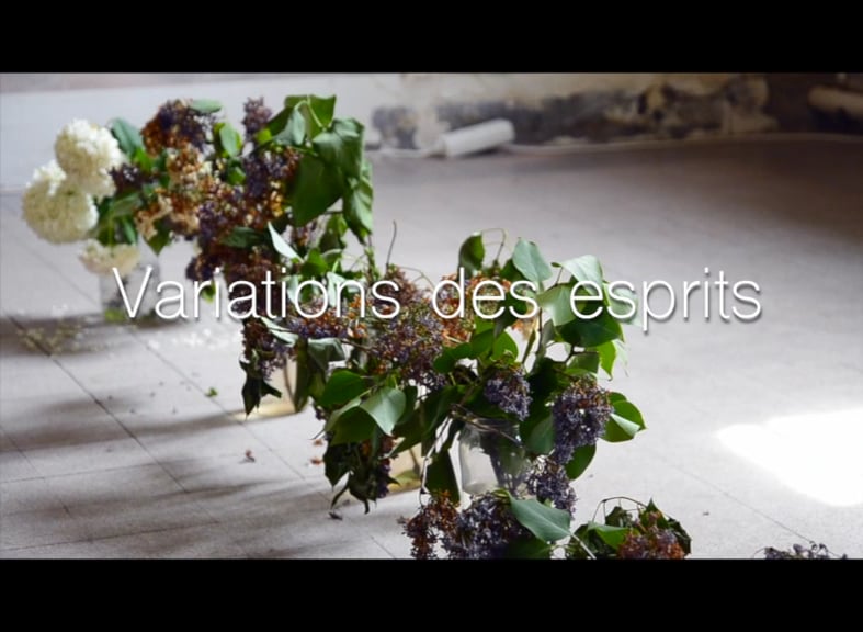 Variations des esprits, installation, 2016 on Vimeo