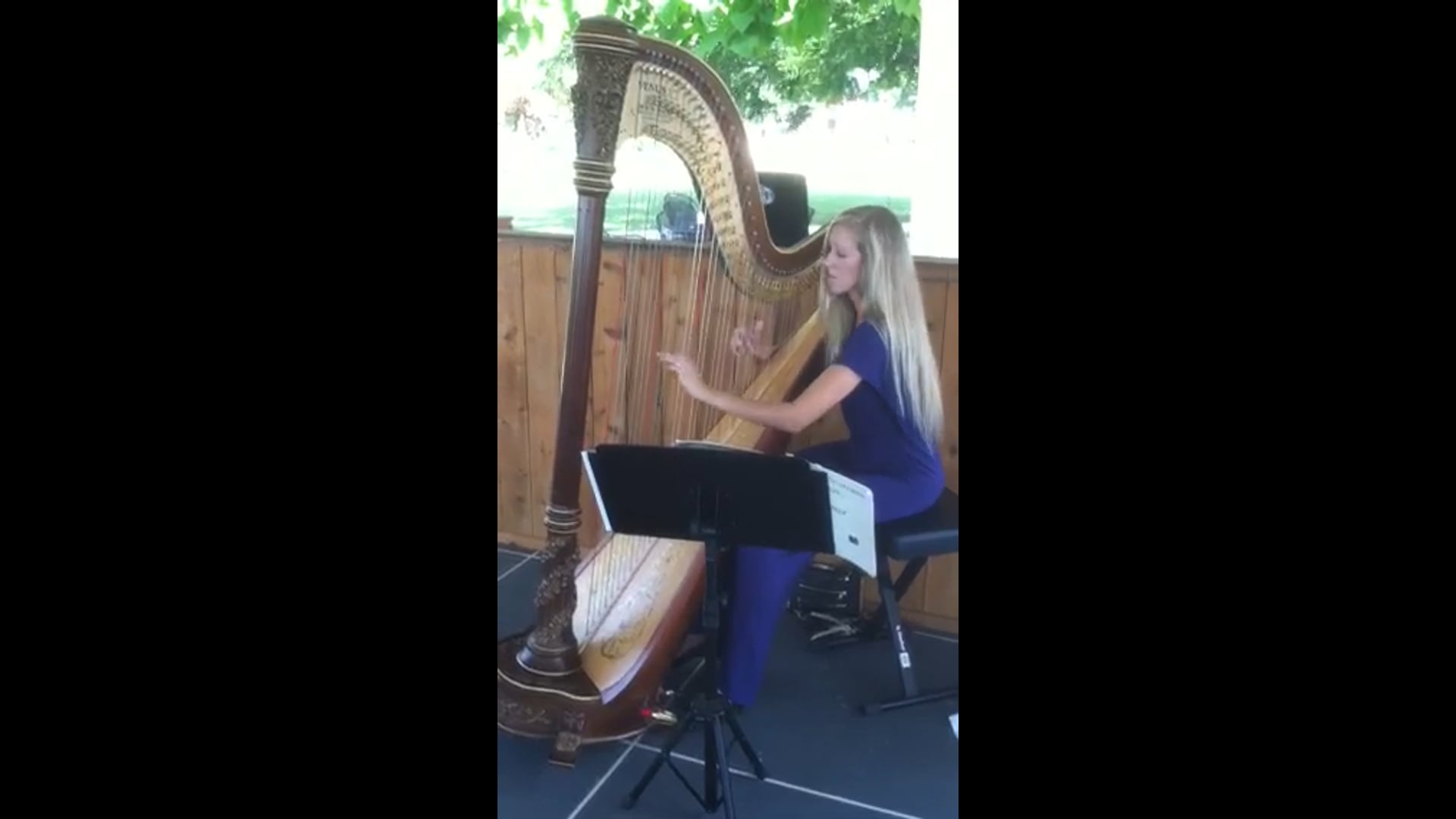 Promotional video thumbnail 1 for Lauren Miller- Harpist